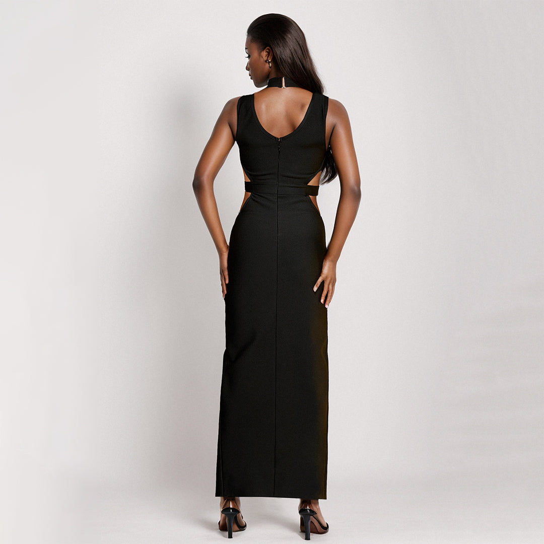 Olivia Mesh Bodycon Cutout Maxi Dress in Black - LE COLLET